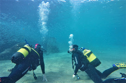 active-scuba-divers.jpg