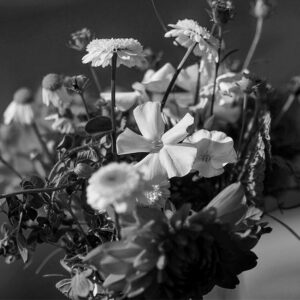 Floristerías
