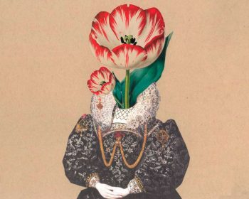 Rosa-Vera-ok
