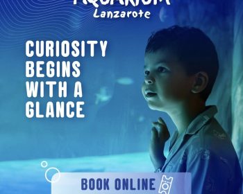 aquarium-lanzarote-coriosity-begins-with-a-glance-book-on-line-costa-teguise-lanzarote-clublanzarote