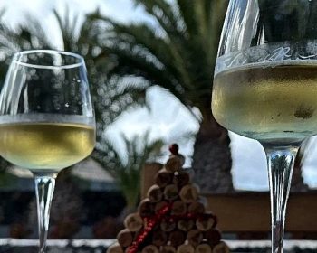 bodega-bermejo-la-geria-vinos-de-lanzarote-11