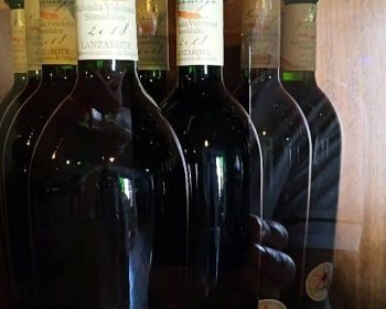 bodega-bermejo-la-geria-vinos-de-lanzarote-22