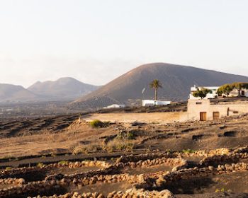 bodega-blanch-la-geria-lanzarote-clublanzarote