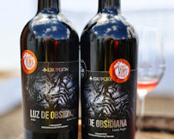 bodega-erupcion-tao-lanzarote-clublanzarote-11