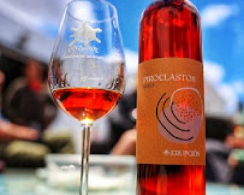 bodega-erupcion-tao-lanzarote-clublanzarote-12