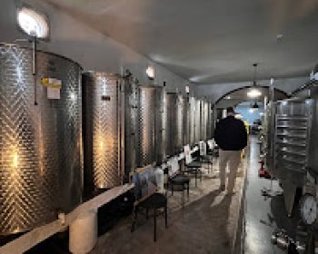 bodega-erupcion-tao-lanzarote-clublanzarote-5