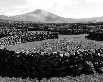 bodegas-lanzarote