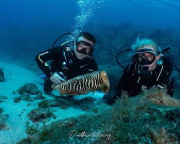bonito-diving-lanzarote-playa-blanca-lanzarote-clublanzarote
