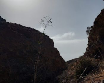 casa-oceano-costa-teguise-lanzarote