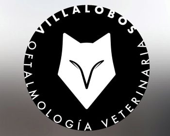 centro-veterinario-la-villa-villalobos-teguise-lanzarote