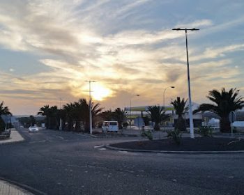 disa-palmeras-costa-teguise-lanzarote