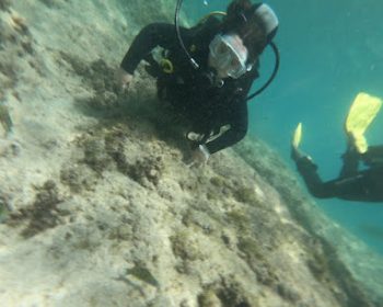 diving-lanzarote-toninas-playa-blanca-lanzarote-clublanzarote
