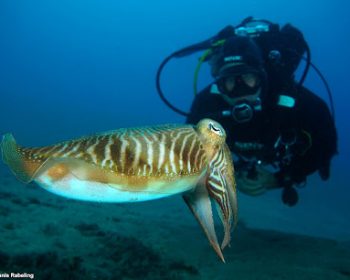 euro-divers-lanzarote-puerto-del-carmen-lanzarote-clublanzarote
