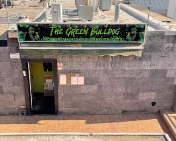 green-bulldog-puerto-del-carmen-lanzarote-clublanzarote