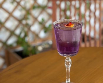la-casita-del-gin-costa-teguise-lanzarote-clublanzarote-22