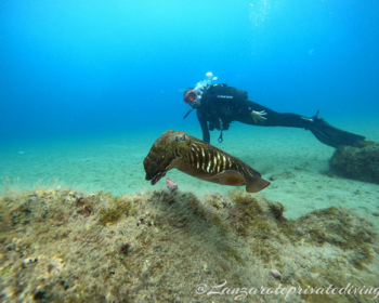 lanzarote-private-diving-lanzarote--clublanzarote