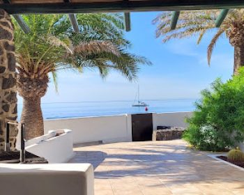 loro-verde-playa-honda-lanzarote