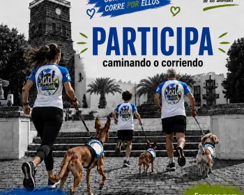 noticias-ayuntamiento-teguise-julio-2026-2