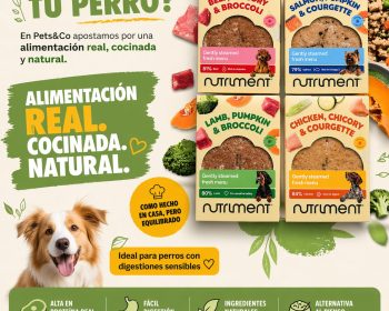pets-and-co-costa-teguise-lanzarote-clublanzarote-promocion-blog