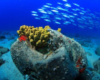 rubicon-diving-costa-calero-puerto-calero-lanzarote