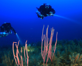 rubicón-diving-lanzarote-playa-blanca-lanzarote-clublanzarote