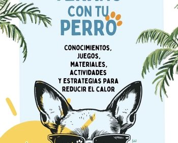 verano-con-tu-perro-lanzarote