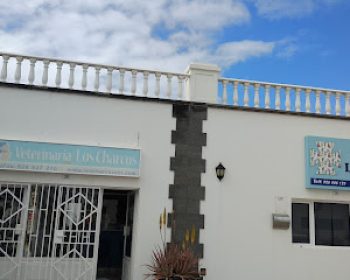 veterinaria-los-charcos-costa-teguise-lanzarote