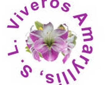 viveros-amaryllis-arrecife-lanzarote